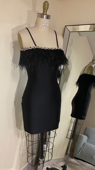 The Ariana Dress is made of spandex fabric and is fully lined.  It features spaghetti straps with ostrich feathers all around the top of the dress.  Hand sewn rhinestone trim with an invisible zipper closure in the back of the dress.